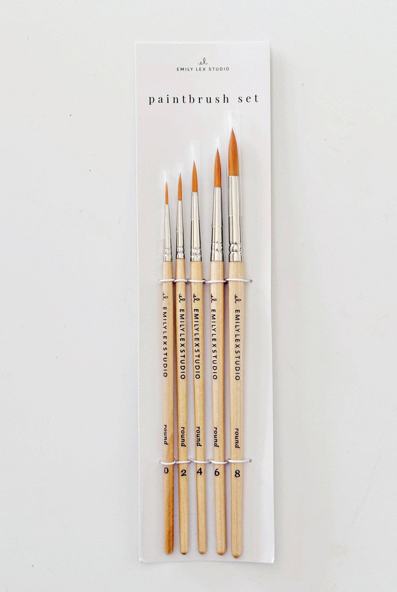 Precision Watercolor Brush Set-300 Treats/Gift-emily lex studio-Hello Friends Boutique-Woman's Fashion Boutique Located in Traverse City, MI