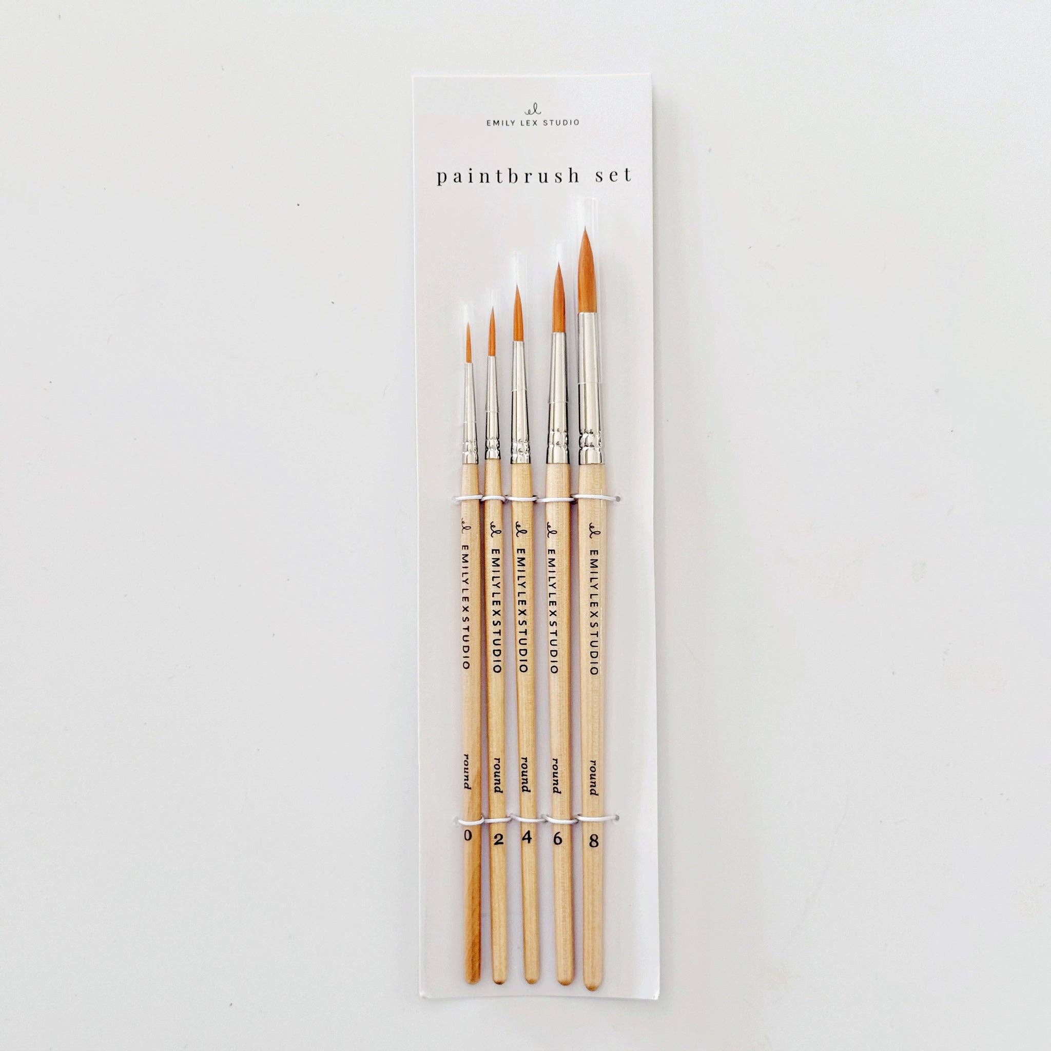 Precision Watercolor Brush Set-300 Treats/Gift-emily lex studio-Hello Friends Boutique-Woman's Fashion Boutique Located in Traverse City, MI
