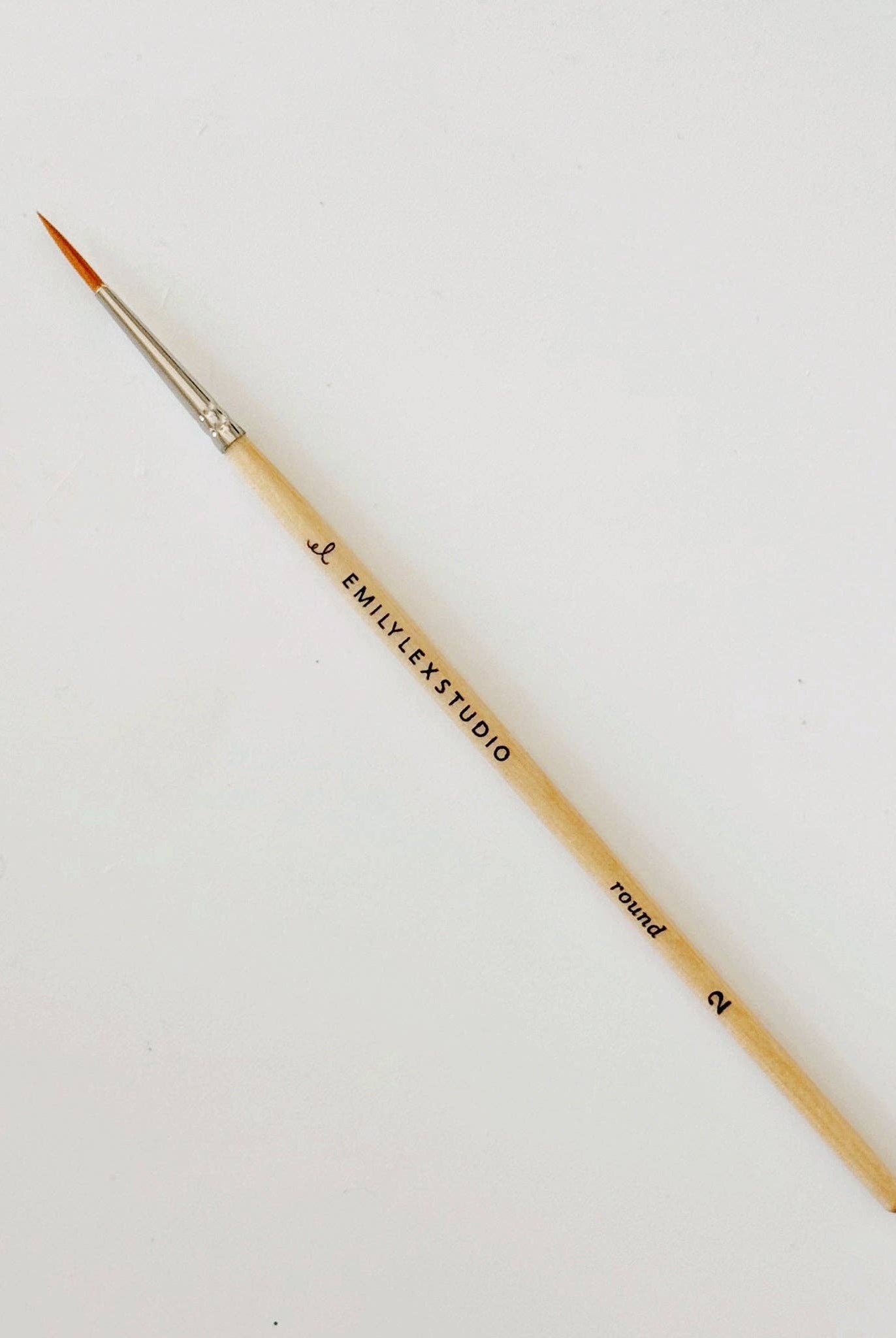 Precision Watercolor Brush Set-300 Treats/Gift-emily lex studio-Hello Friends Boutique-Woman's Fashion Boutique Located in Traverse City, MI
