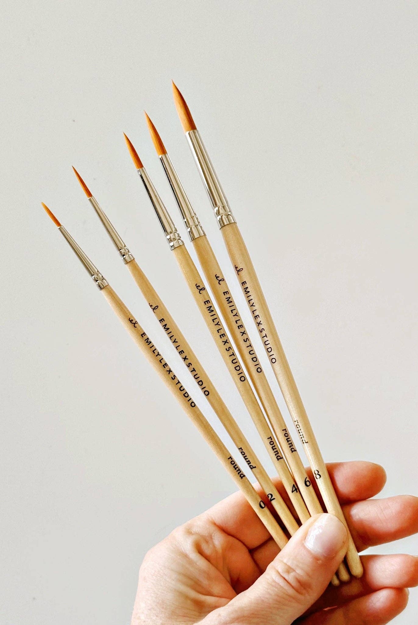 Precision Watercolor Brush Set-300 Treats/Gift-emily lex studio-Hello Friends Boutique-Woman's Fashion Boutique Located in Traverse City, MI