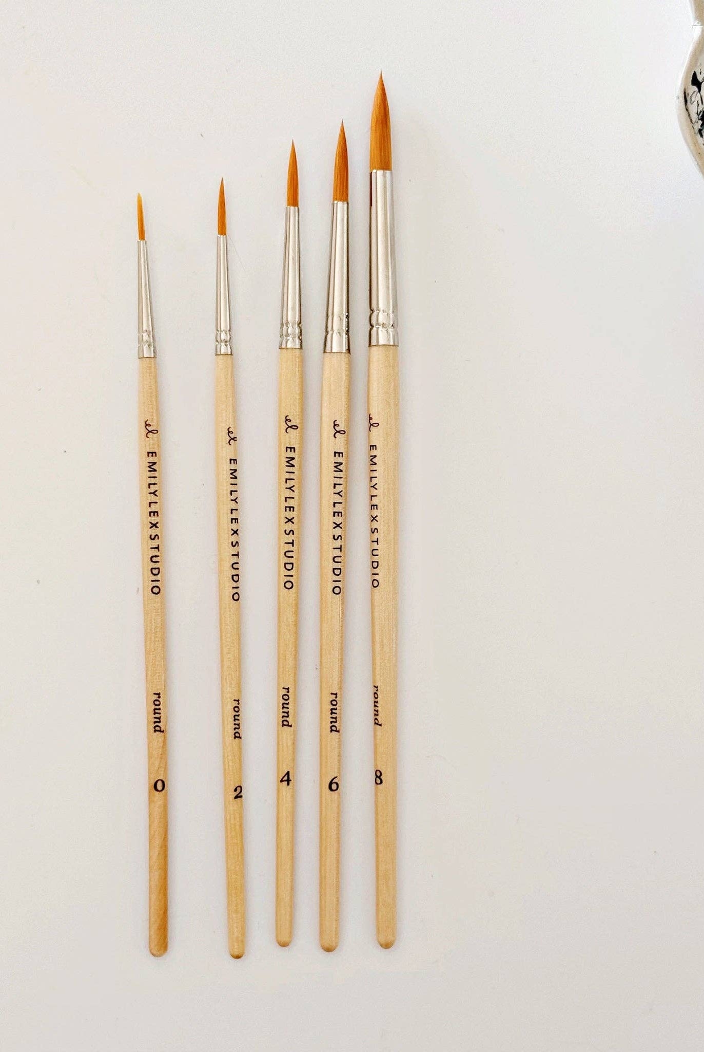 Precision Watercolor Brush Set-300 Treats/Gift-emily lex studio-Hello Friends Boutique-Woman's Fashion Boutique Located in Traverse City, MI