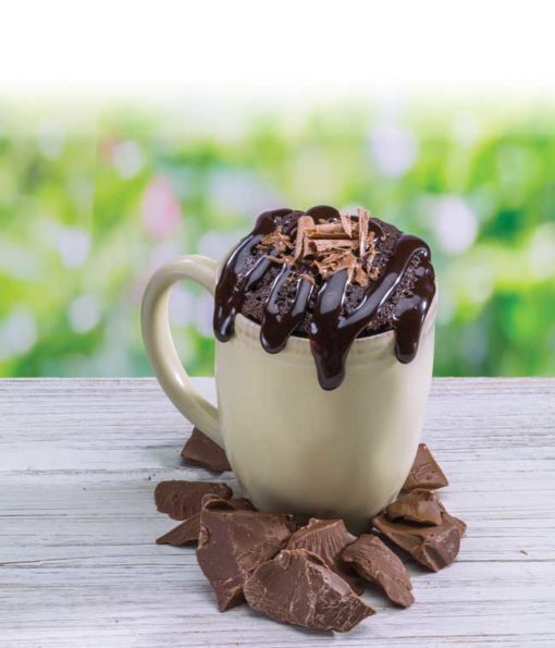 Ooey Gooey Chocolate Brownie Microwave Single-300 Treats/Gift-faire - molly&you-Hello Friends Boutique-Woman's Fashion Boutique Located in Traverse City, MI