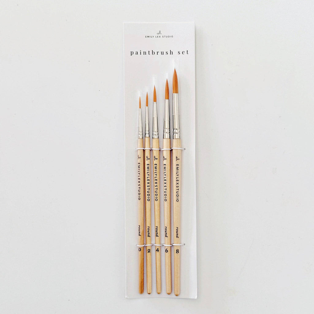 Precision Watercolor Brush Set-300 Treats/Gift-emily lex studio-Hello Friends Boutique-Woman's Fashion Boutique Located in Traverse City, MI