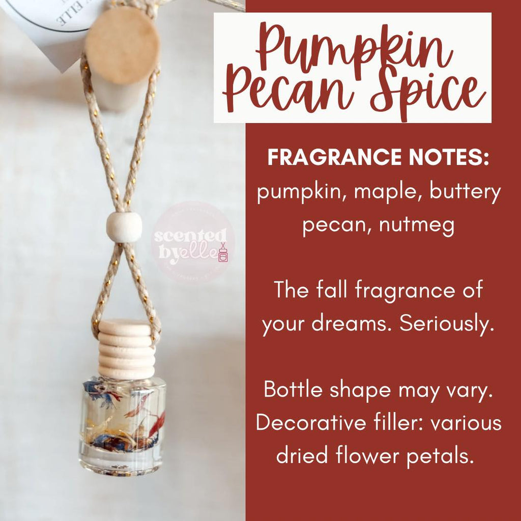 Pumpkin Pecan Spice Swirl Car Diffuser-300 Treats/Gift-Scented by Elle-Hello Friends Boutique-Woman's Fashion Boutique Located in Traverse City, MI