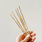Precision Watercolor Brush Set-300 Treats/Gift-emily lex studio-Hello Friends Boutique-Woman's Fashion Boutique Located in Traverse City, MI