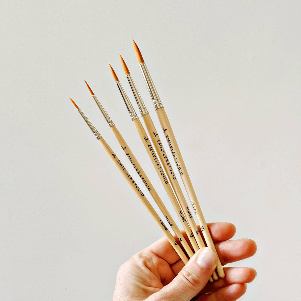 Precision Watercolor Brush Set-300 Treats/Gift-emily lex studio-Hello Friends Boutique-Woman's Fashion Boutique Located in Traverse City, MI