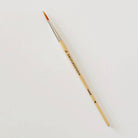 Precision Watercolor Brush Set-300 Treats/Gift-emily lex studio-Hello Friends Boutique-Woman's Fashion Boutique Located in Traverse City, MI