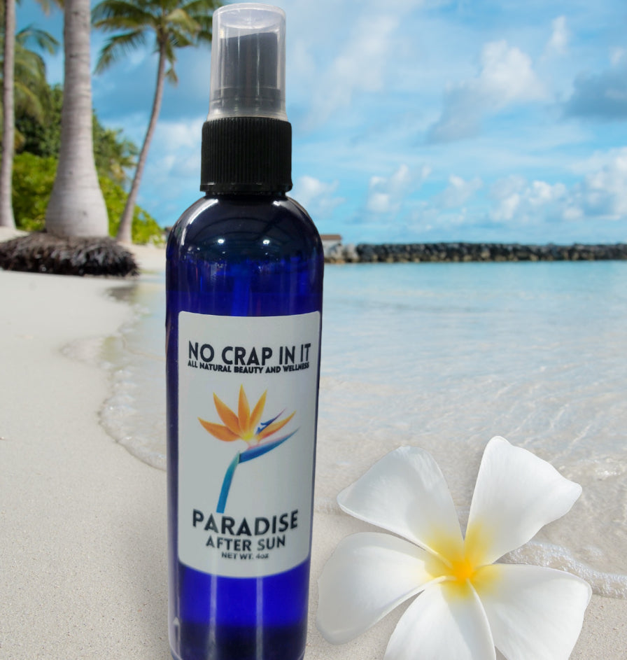 Paradise After Sun Spray 4oz-500 History-No Crap In It-Hello Friends Boutique-Woman's Fashion Boutique Located in Traverse City, MI